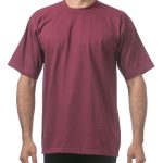 101.MAROON.PT04